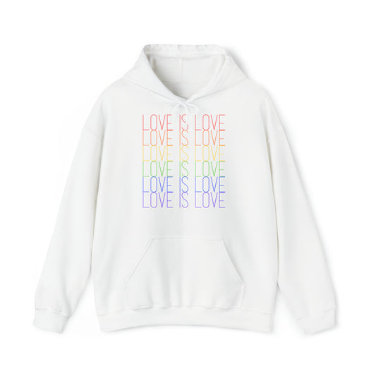 Unisex Hoodie Love is love